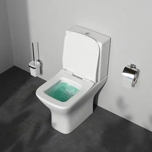 Унітаз-компакт AM.PM Gem без обідка з сидінням мікроліфт white CGA8601SC - фото 3
