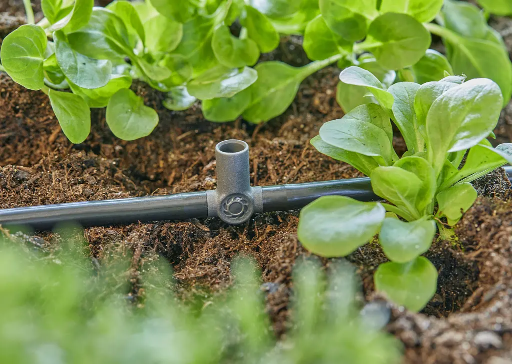 З'єднувач Т-подібний для мікронасадок Gardena Micro-Drip-System для шлангів 4,6 мм, 5 шт (13216-20) - фото 3