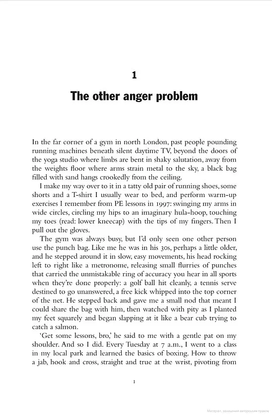 Good Anger - Sam Parker - фото 4