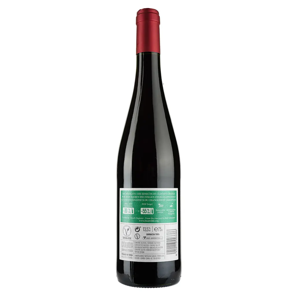 Вино Torres San Valentin Tinto, червоне, сухе, 14,5%, 0,75 л (36530) - фото 2