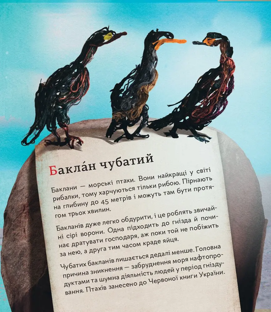 Книга Ранок ПтахАбетка. Українські пернаті - Ірена Панаріна (R901537У) - фото 8