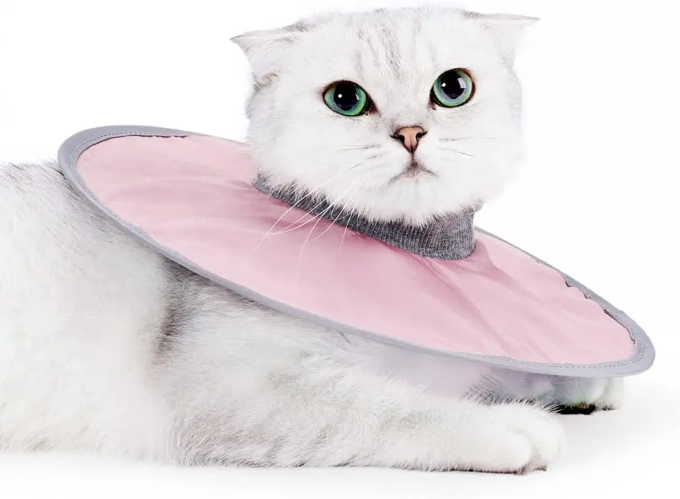 Захисний комір для котів Derby Breathable Cat Elizabeth Collar, Pink, XL < 40 см