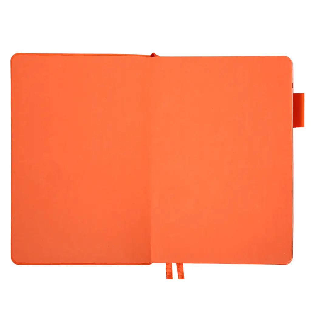 Дневник-деловая записная книжка А5 Leo Planner Binario 2026 мягкий оранжевый 368 страниц (252641) - фото 3