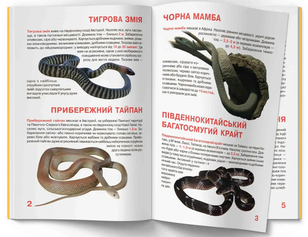 Велика книжка. Отруйні змії - фото 2