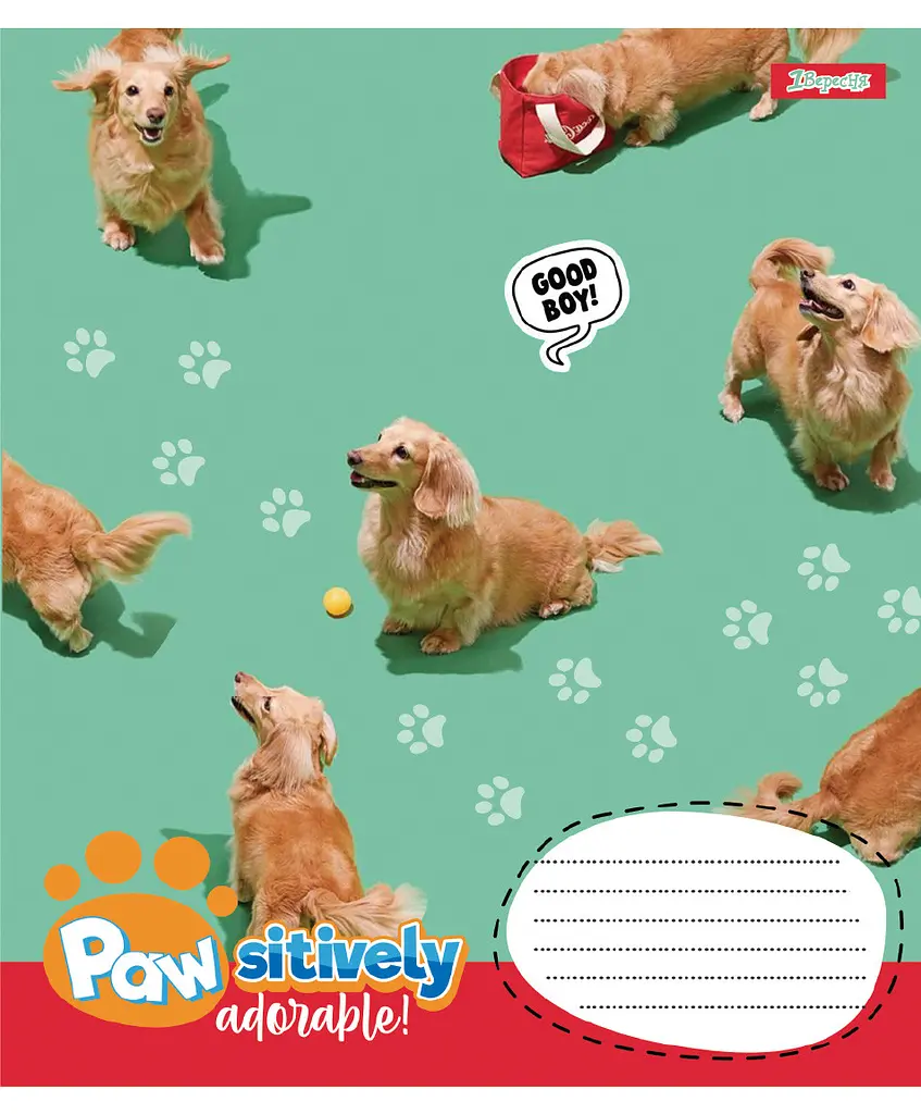 Зошит 1 вересня Pawsitively А5, 24 аркуша в лінію (768241) - фото 2