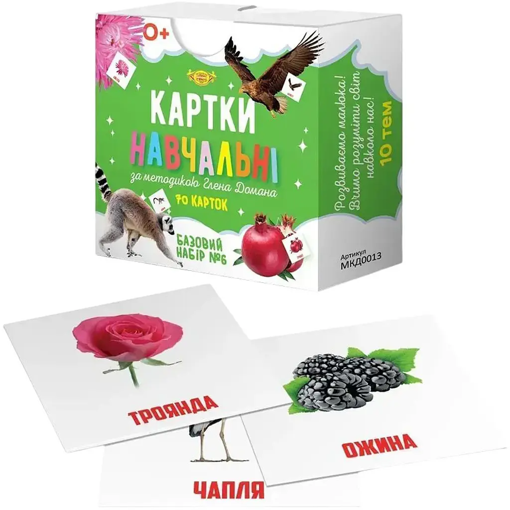 Картки навчальні за методикою Глена Домана. Базовий набор №6 (МКД0013)