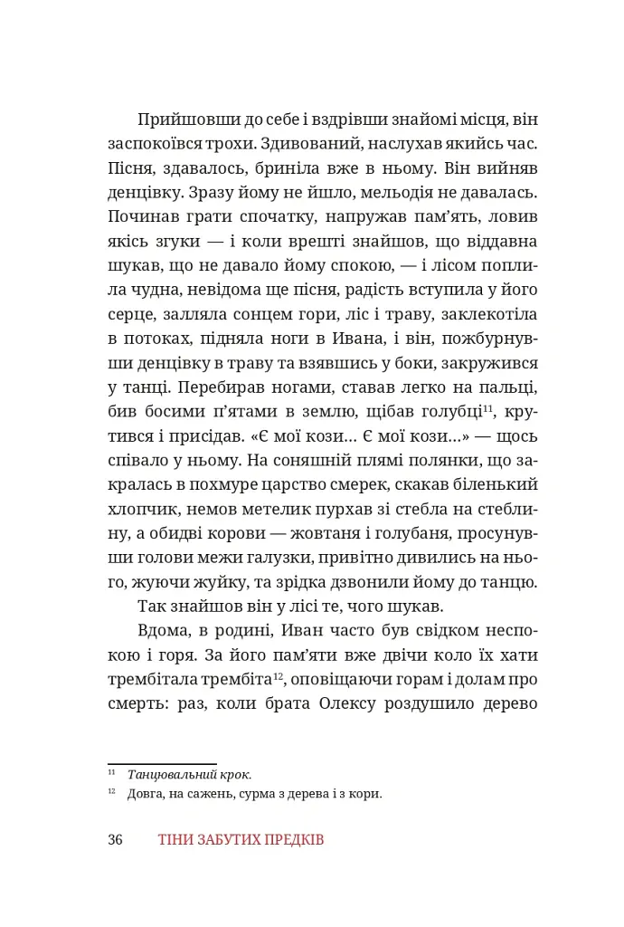 Тіни забутих предків - Михайло Коцюбинський - фото 10