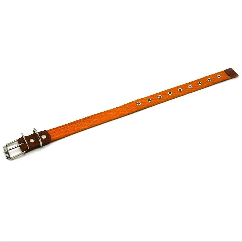 Нашийник для собак Zoo-hunt брезентовий 2,5 см 24-44 см помаранчевий - фото 2