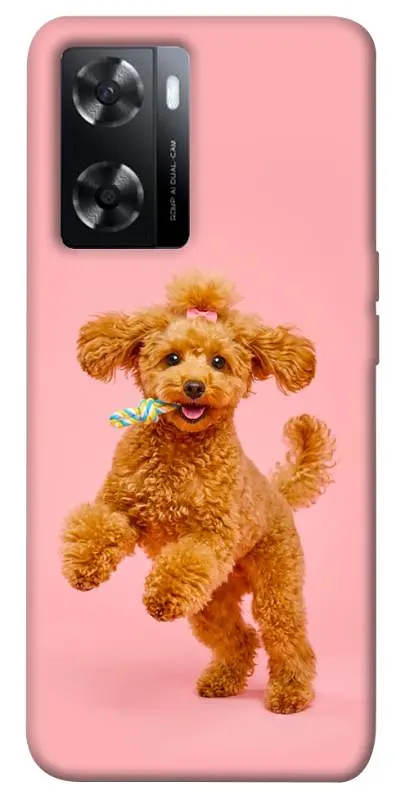 TPU чохол Demsky Happy poodle для Oppo A57s