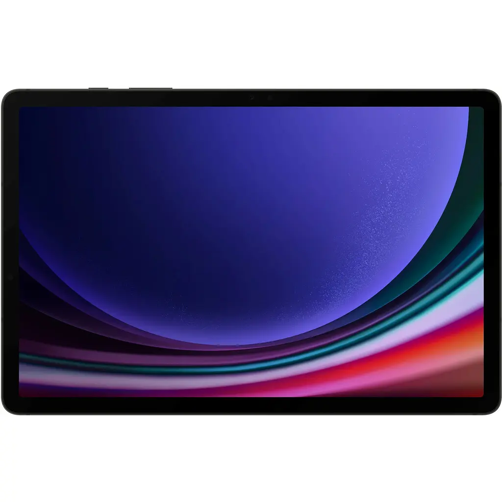 Планшет Samsung Galaxy Tab S9 12/256GB 5G Graphite (SM-X716BZAE) - фото 2