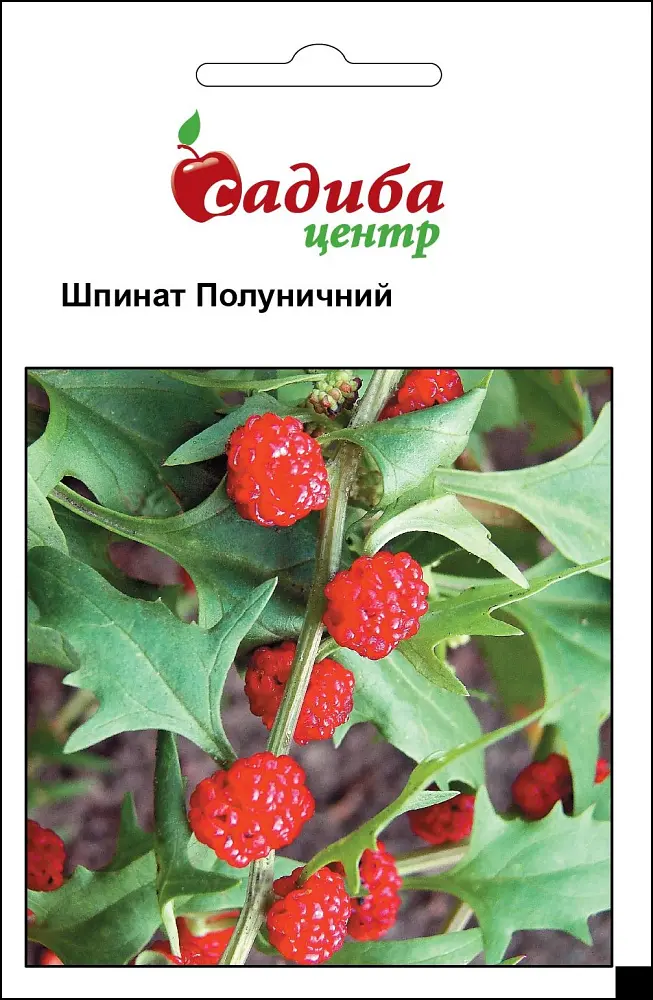 Шпинат Полуничний, 0,1 г, Садиба Центр