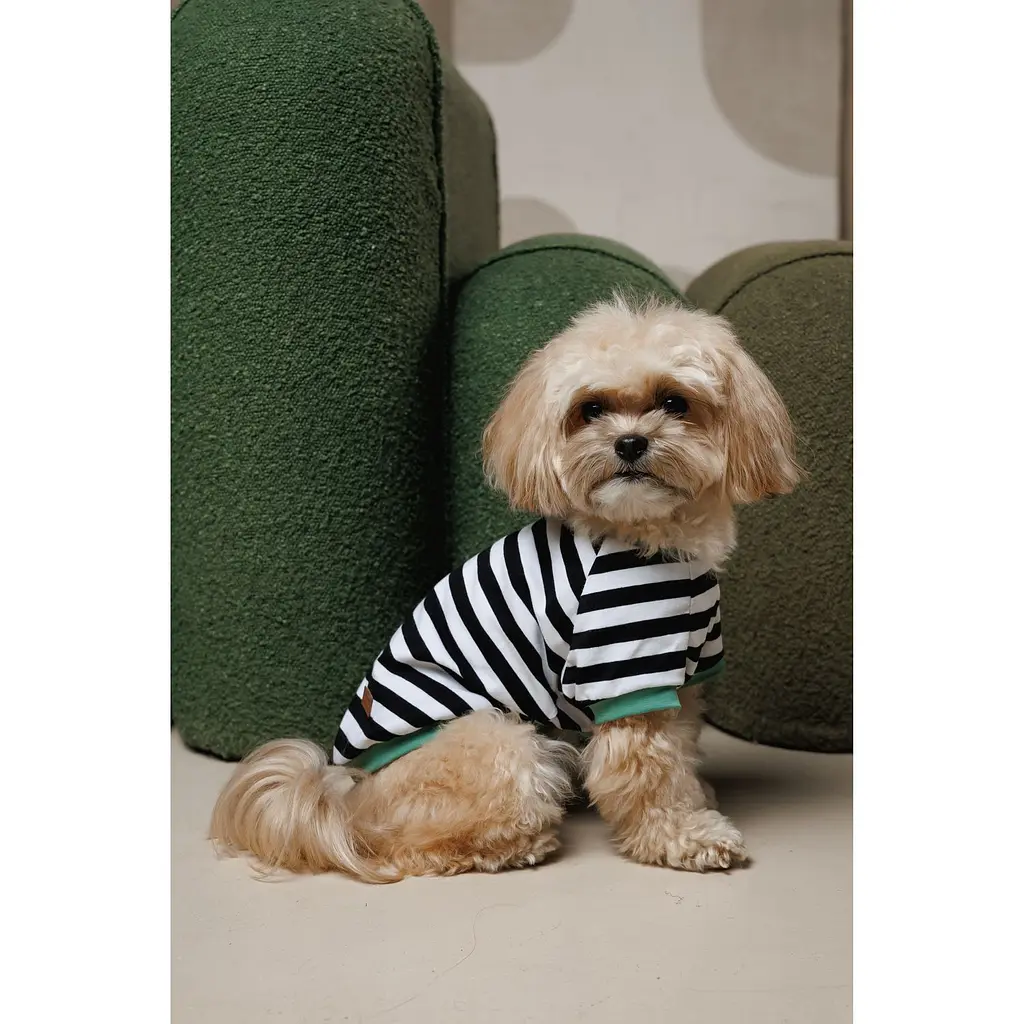 Футболка Pet Fashion Breeze для собак S - фото 6
