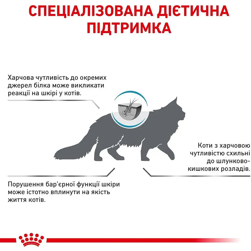 Сухой корм для кошек Royal Canin Vd Feline Hypoallergenic Cat при пищевой аллергии 0.4 кг - фото 7
