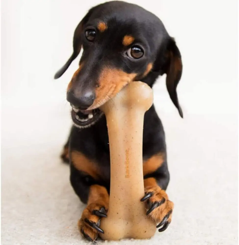 Жувальна кістка для собак Pet Qwerks Real Bacon Infused BarkBone з ароматом бекону - фото 5