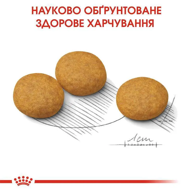 Сухий корм для собак дрібних порід із чутливою шкірою Royal Canin Mini Dermacomfort, 1 кг (2441010) - фото 2