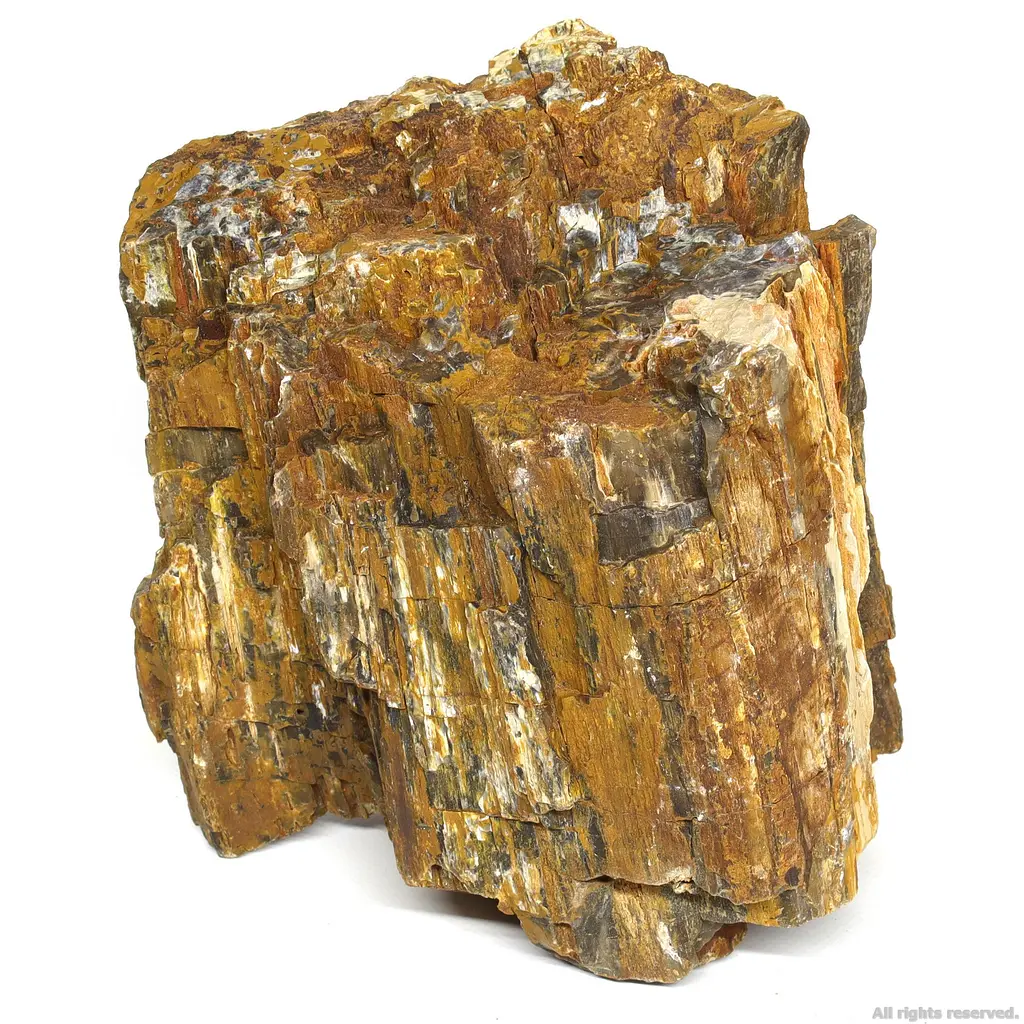 Декоративний природній камінь Hobby Petrified Wood L 2.2-4кг (40688) - фото 2