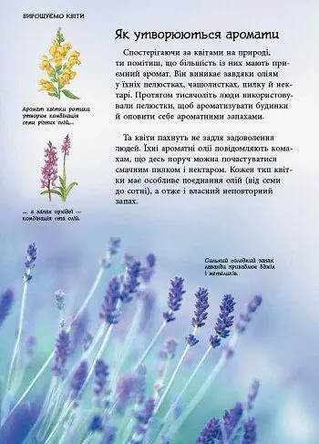 Стежками природи. Дикі квіти - Сара Кан - фото 10