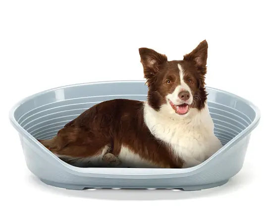 Пластиковий лежак для собак і котів Ferplast Siesta Deluxe 10 сірий 93,5×68×28,5 см 70210947 - фото 4