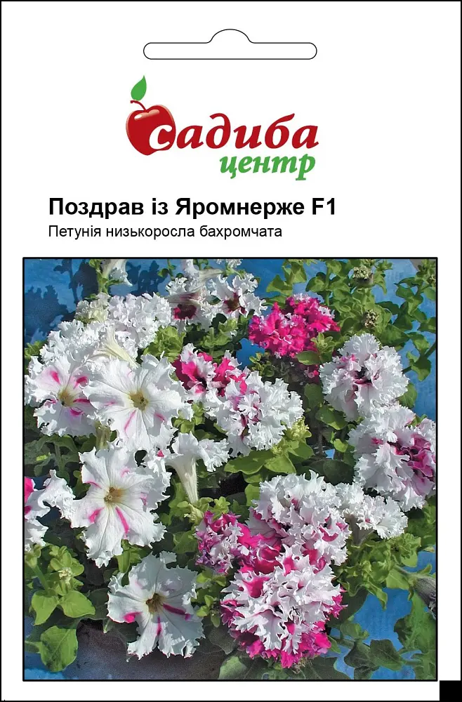 Петунія Поздрав із Яромнерже F1, 10 гран, Садиба Центр
