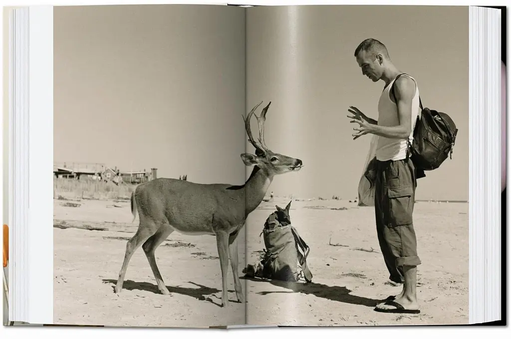 Wolfgang Tillmans. Four books - фото 4