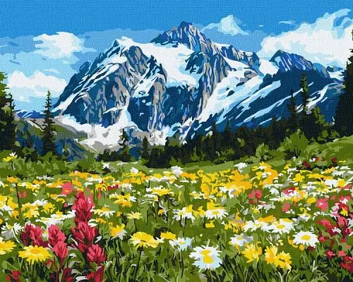Картина за номерами "Квіткове поле серед гір" art_selena_ua