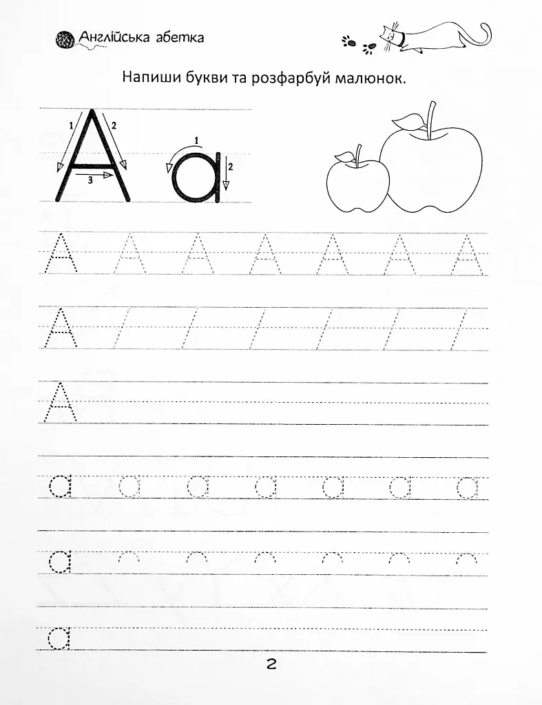 Прописи. English alphabet 4+ - фото 3