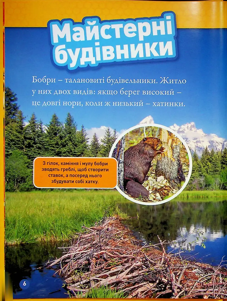 Тварини-будівники - Ліббі Ромеро - фото 2