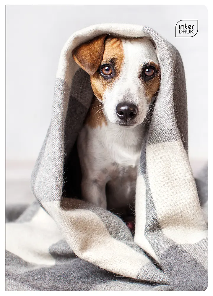 Зошит Interdruk I love pets лінійка A5 12 аркушів 8 шт. (298652-8) - фото 4