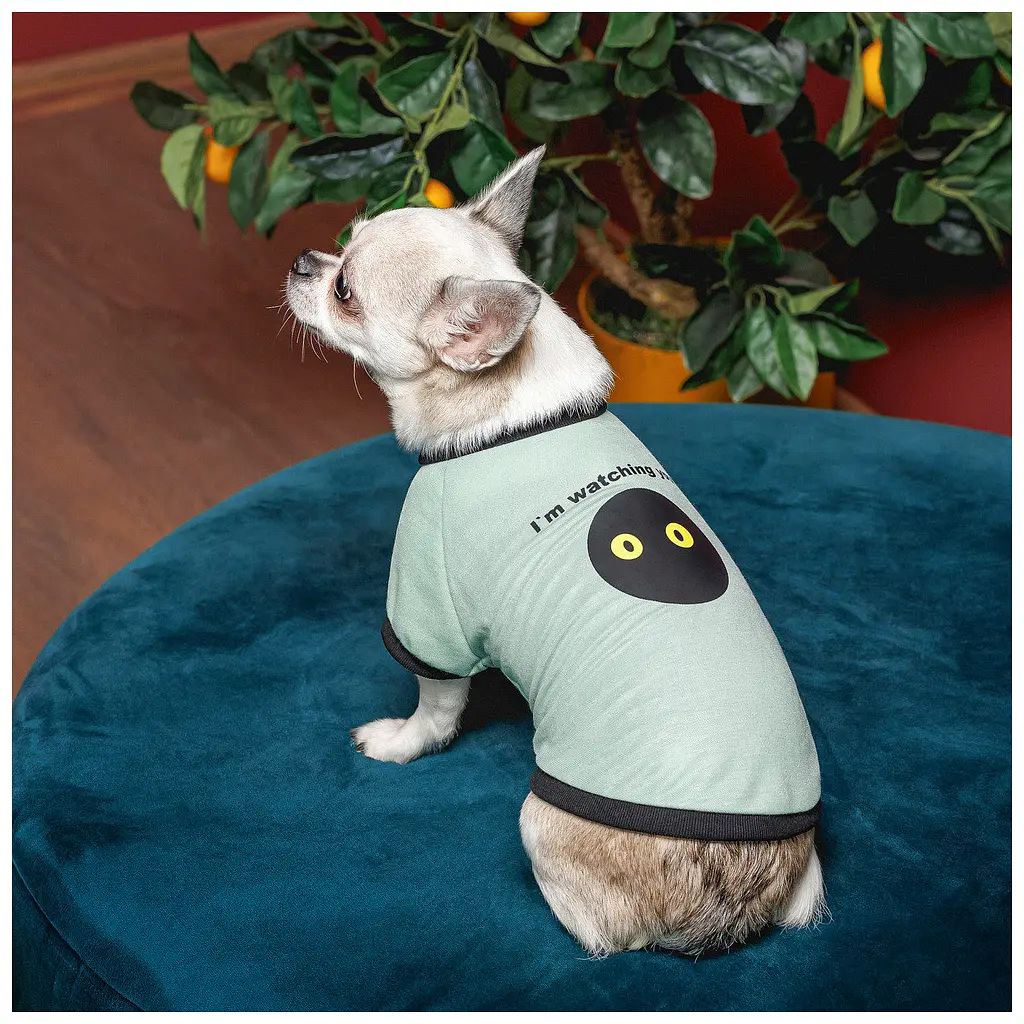 Футболка для тварин Pet Fashion Oscar XS2 блакитна (4823082441372) - фото 4