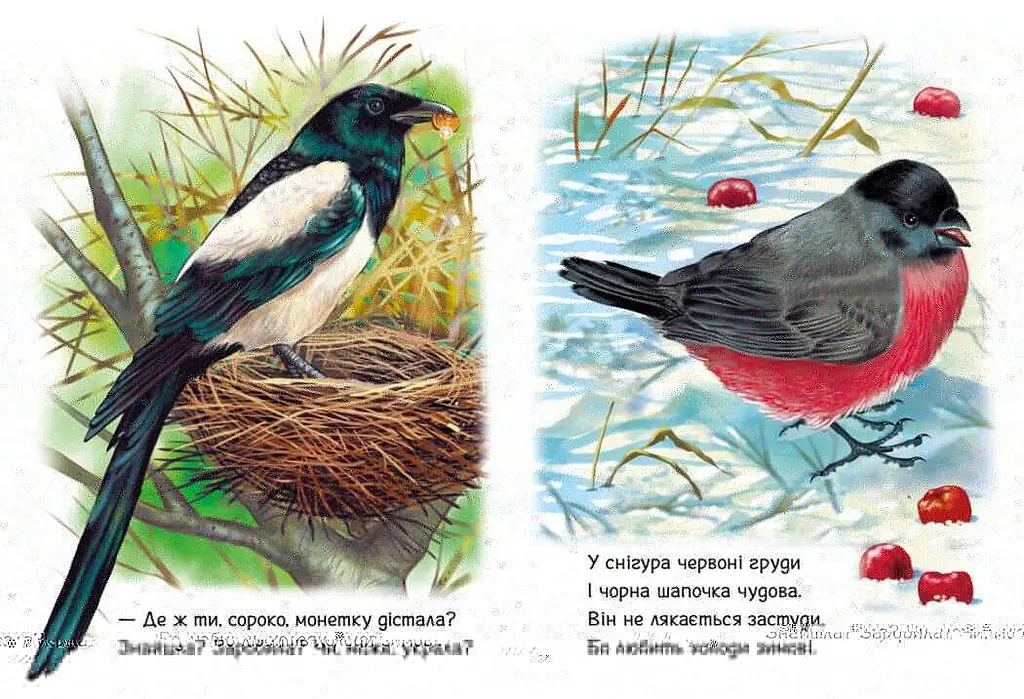 Книга Малятам про звіряток Збірник: Поруч з нами Ранок М212013У shop (9786170978738) - фото 4