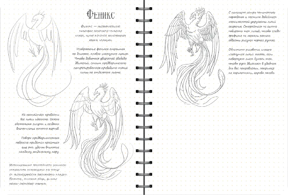 Скетчбук ОКО Sketch Book Скетчбук Рисуем фантастических существ экспресс курс O SB RFS - фото 5