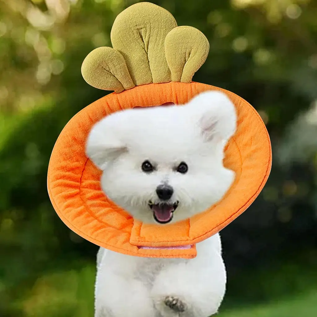 Ветеринарний комір для котів та маленьких собак Derby Carrot, L - фото 4