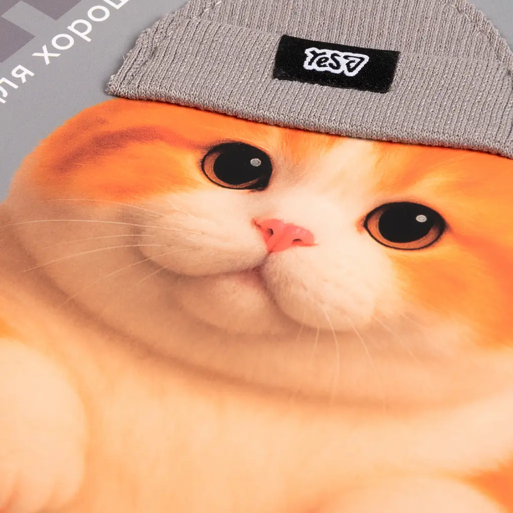 Щоденник шкільний Yes Chunky Cat A5 40 аркушів твердий (911720) - фото 2