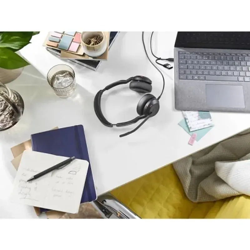Навушники Jabra Evolve 2 50 MS USB C/A Stereo (25089-999-799) - фото 3