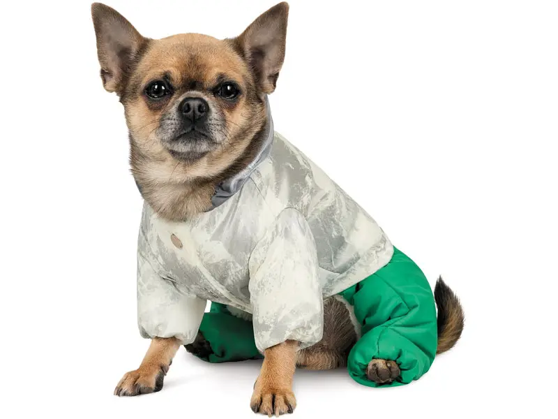 Костюм для тварин Pet Fashion Pf Style S (4823082427956) - фото 5