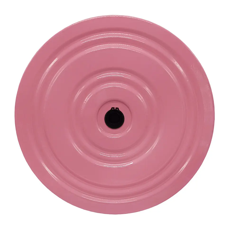 Диск здоровья Newt NE-CZ-040 до 170 кг, металл - фото 3