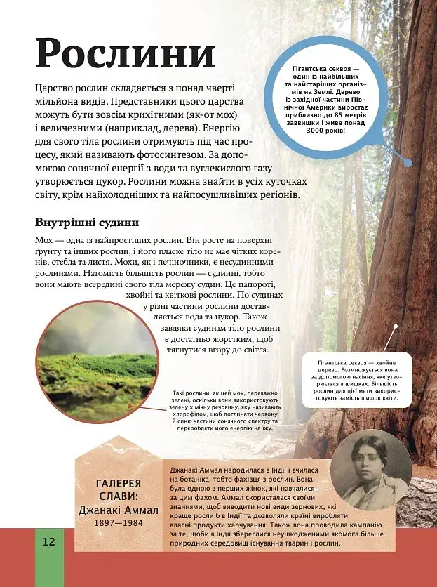 Дитяча енциклопедія біології - Том Джексон - фото 12