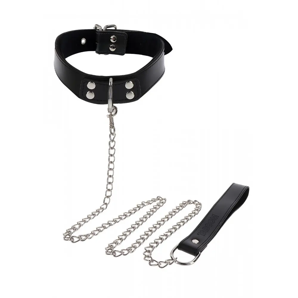 Нашийник на повідку Taboom - Elegant Collar and Chain Leash - фото 3