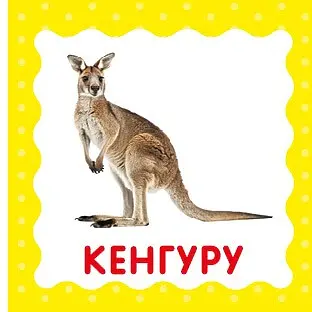 Дикі тварини. Перша книжка малюка - фото 4