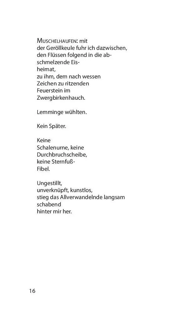 Світлопримус - фото 11