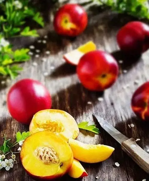 Саженец Agro-Market Нектарин Флейвор Топ (летний сорт, средний срок созревания) (39945) 1 шт. в упаковке - фото 5
