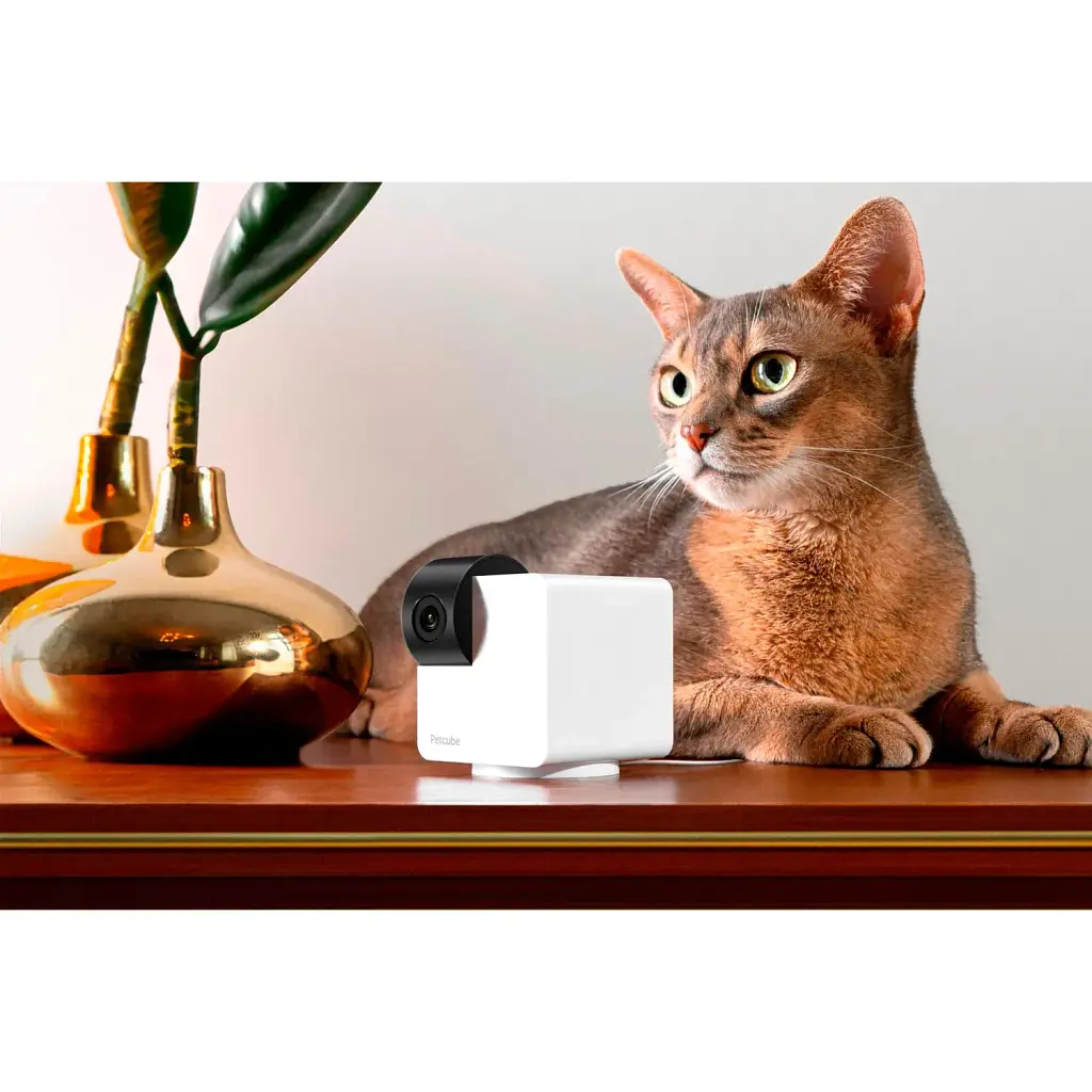 IP-камера для видеонаблюдения Petcube Cam 360 (P36010US) [109823] - фото 6