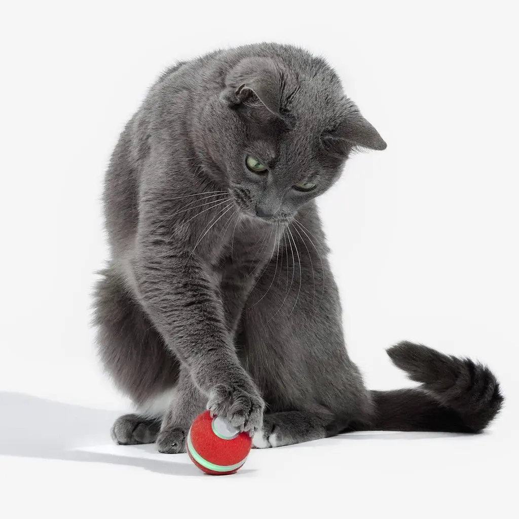 Розумний м'ячик для котів Cheerble Wickedball Mini Artificial Wool Red (C0419-R) [168098] - фото 8