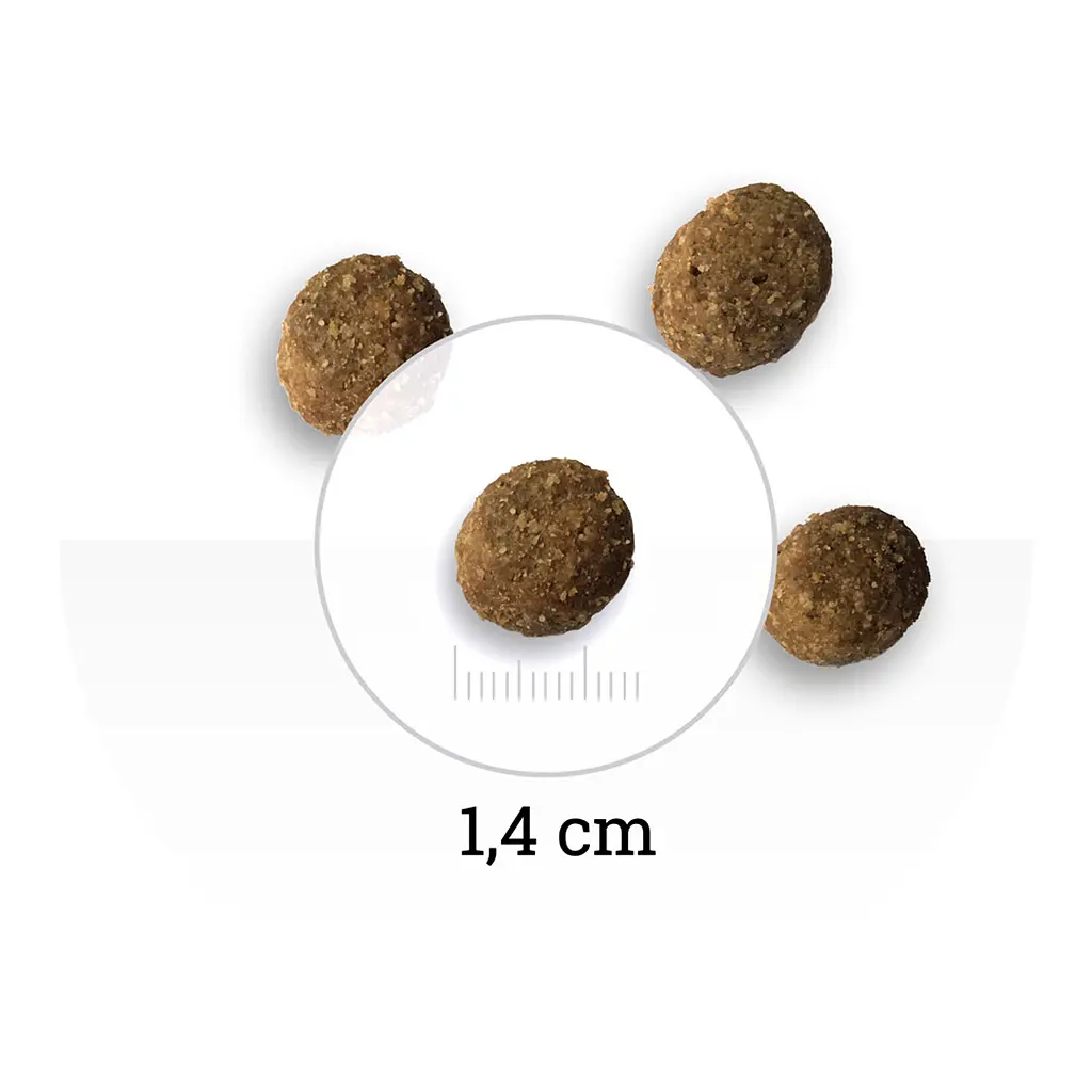 Сухий корм для дорослих собак малих порід Bon Appetit Adult Dog Mini Chicken&Rice з куркою та рисом 2 кг - фото 5