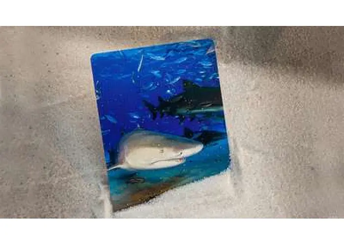 Карти гральні United States Playing Card Company Bicycle Sharks (2273) - фото 2