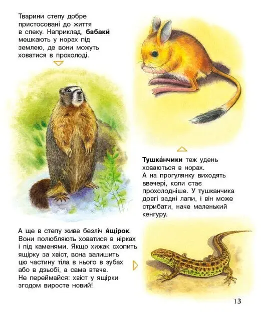 Енциклопедія дошкільника. Україна - Каспарова Юлія - фото 5