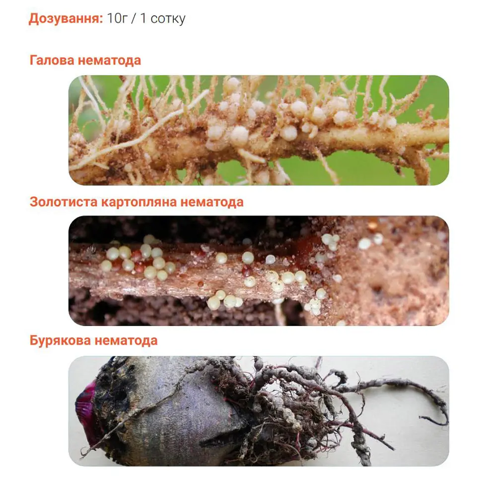 Нематоцид Insecta 10г - фото 2