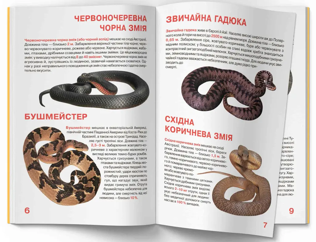 Велика книжка. Отруйні змії - фото 3