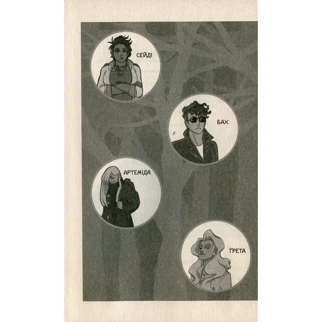 Вітаємо в Аддамсвіллі - Заппія Франческа - фото 3