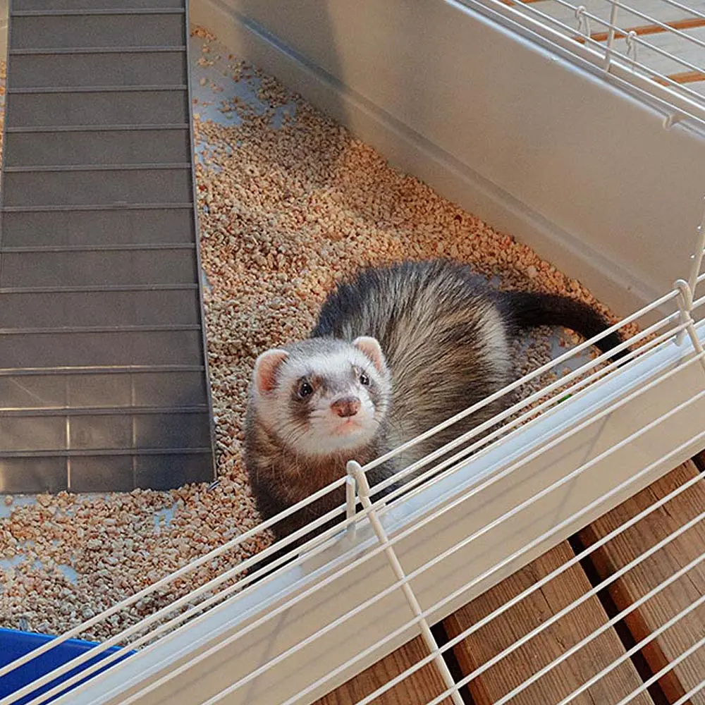 Двоповерхова клітка Ferplast Furet Tower для тхорів на колесах - фото 7